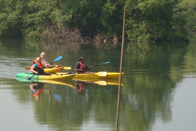 Goa Kayaking Spike's Salonia Backwaters Kayaking Experience - Why the Salonia Backwaters Kayak Run Feels So Relaxing