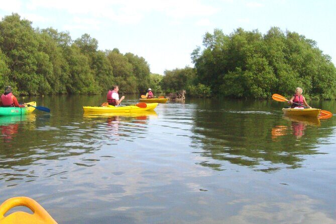 Goa Kayaking Spike's Salonia Backwaters Kayaking Experience - Paddling Through Mangrove Nooks and Crannies (Tide Matters)