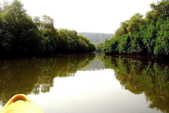 Goa Kayaking Spike's Salonia Backwaters Kayaking Experience - The 15-Minute Briefing: Safety First, Then You Can Focus
