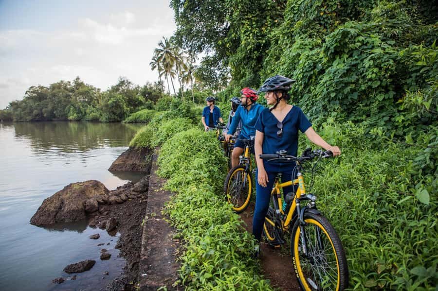 Goa: Old Goa and Divar Island E-Bike Tour with Snacks - The Mandovi River Ferry: The Mid-Tour Reset