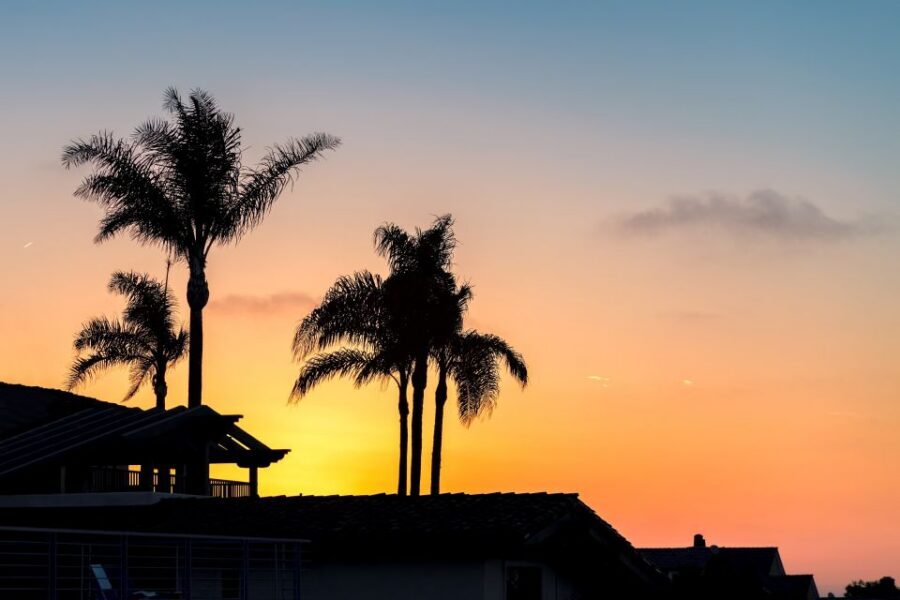 Goa: Pub Crawl - Price and value: is $47 a good deal for a Goa night out?