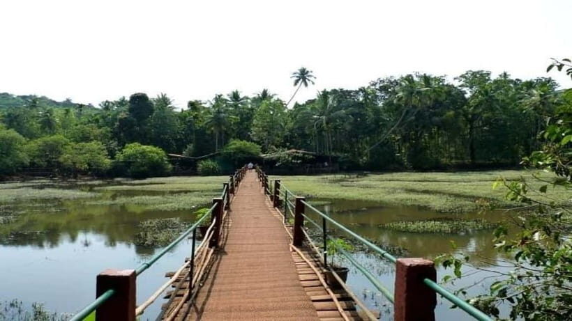 Goa Shore Excursions: Highlights of Goa - Old Goa churches: Bom Jesus, Se Cathedral, and St. Cajetan