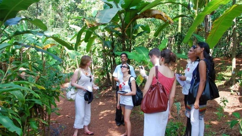 Goa Shore Excursions: Highlights of Goa - Mangueshi Temple: the Hindu counterpoint to Old Goa