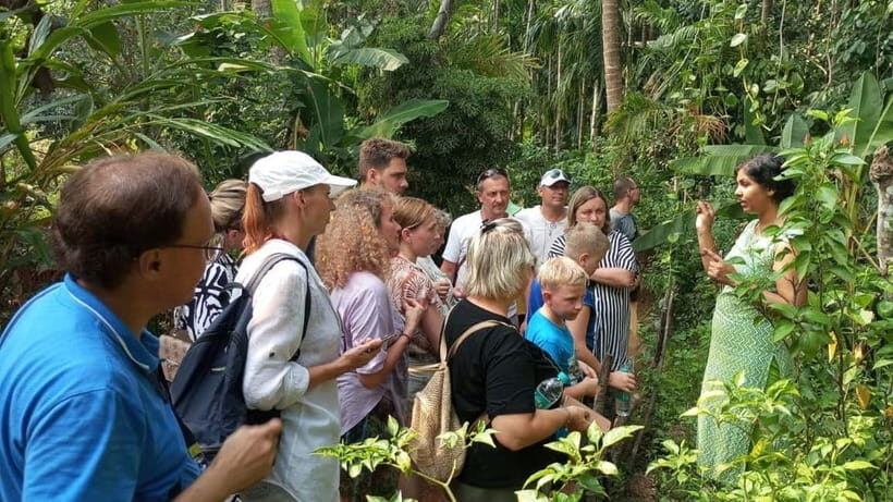 Goa Shore Excursions: Highlights of Goa - Is this tour a good fit for you?