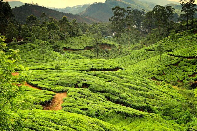 God's Own Country - KERALA (8 Days private trip) - Comfort, Pacing, and the Real Meaning of Private Touring