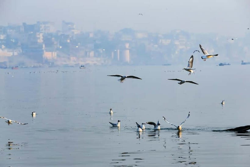 Golden Hour on the Ganges - Sunrise Boat Tour - Tea, street food, and chai chats on the way