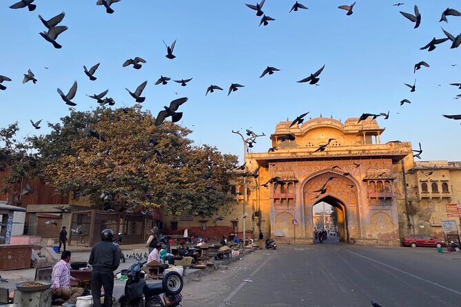 Golden Triangle Tour in India - Day 6: back to Delhi for your flight, no last-minute stress