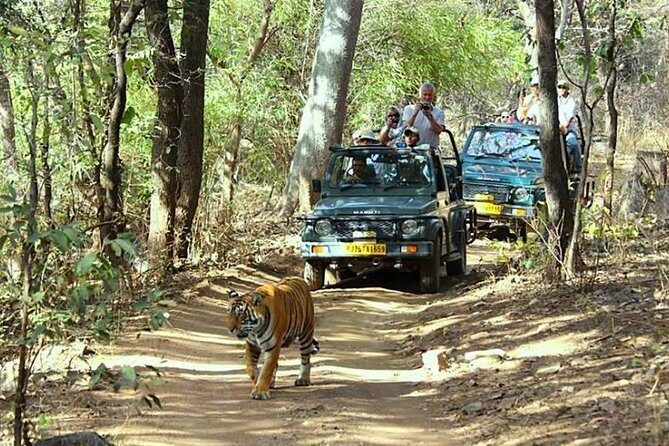 Golden Triangle Tour With Ranthambore Tiger Safari - Day 1 in Delhi: A Real Arrival Buffer After Pickup
