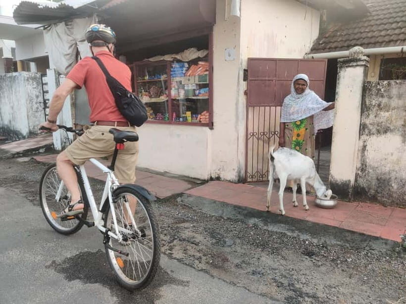 Good Morning Kochi Bicycle Tour - The European Jewish Quarter and Bazaar Road: Trade Routes Made Visible