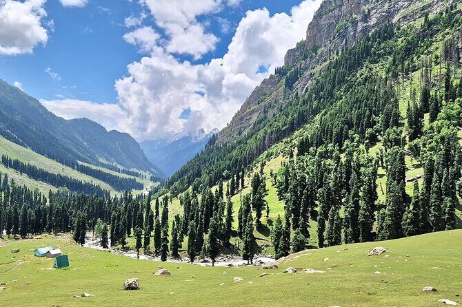 Group Kashmir Deluxe Tour & Tailored Ex Srinagar - Day 2 Gulmarg: gondola option and mountain meadow time