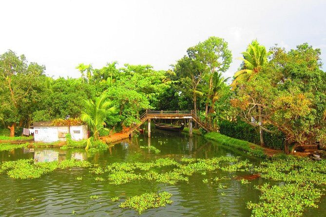 Group Shore Excursion from Cochin Port - Practical travel tips so the day doesn’t feel like a race