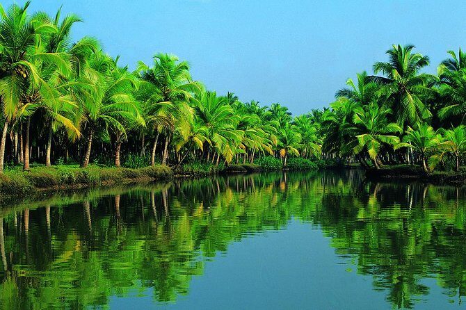 Group Shore Excursion from Cochin Port - Houseboat cruise on Kerala backwaters: the scenic part you’ll remember