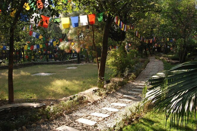 Guided 6 hrs Dharamshala's Tibetan monasteries & Nunnery tour - Nechung Monastery and the Nechung Oracle: Tradition with a Living Thread