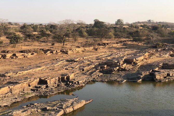 Guided Chittorgarh Fort Day Tour from Udaipur With Lunch - Lunch in Chittorgarh: included veg buffet, expect extra time