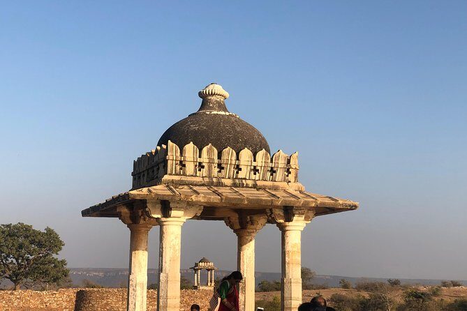 Guided Chittorgarh Fort Day Tour from Udaipur With Lunch - Price and logistics: is $72 a fair deal?