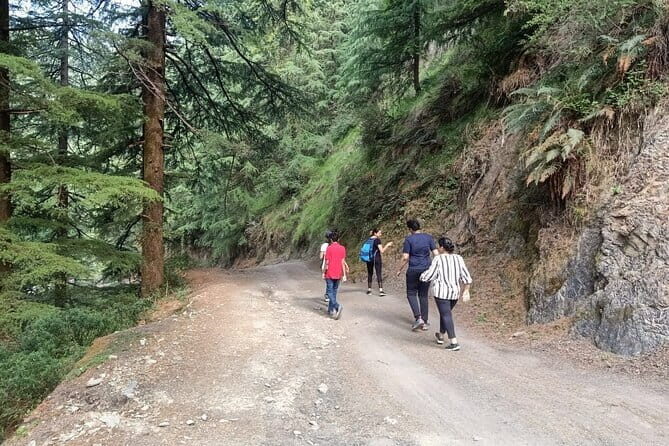 Guided Kora Circuit & Walking Tour Around McLeod Ganj - Price and Value: Is $31 a Good Deal Here?