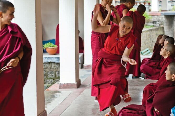 Guided Tibetan Culture Walk at Norbulingka,Gyuto and Nunnery - Dolmaling Nunnery: the walk to Dolma Ling in the Kangra valley