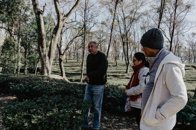 Guided Tour to Palampur-Monasteries, Temple & Tea Gardens visit - Price and value: Does $46 make sense for this day?