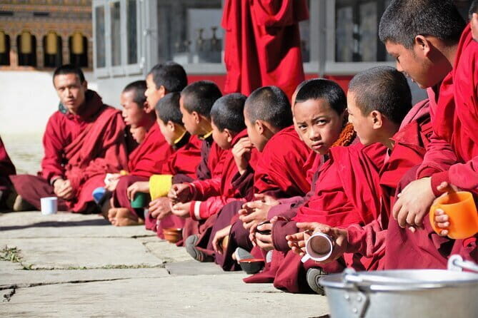 Guided Tour to Palampur-Monasteries, Temple & Tea Gardens visit - Pickup, timing, and how the 5–6 hours flows