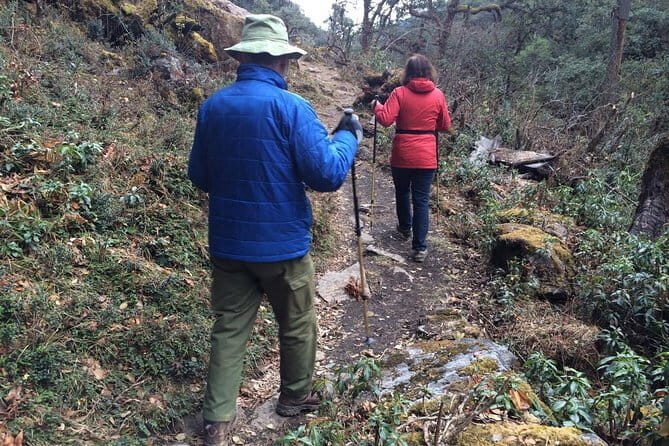 Guided Village walk with Stories in Dharamsala - Naddi’s walk starts in real life, not the tourist strip