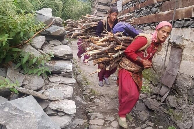 Guided Village walk with Stories in Dharamsala - The 4-hour trail: what the deodar-pine route feels like