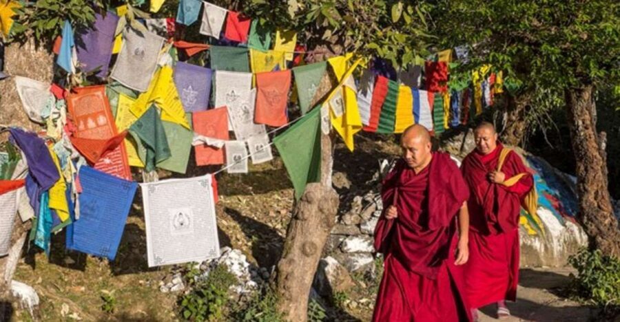 Guided Walk, India's Own Mini Tibet at Mcleodganj - Tsuglagkhang: Dalai Lama’s temple complex and the power of pilgrimage