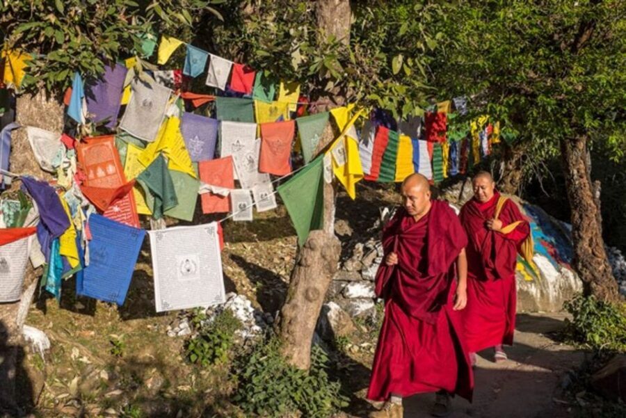 Guided Walk, India's Own Mini Tibet at Mcleodganj - Who this guided walk suits best