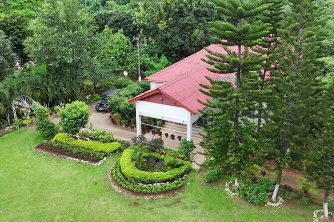 Guwahati Tea Garden tour @ Amchong - Tea country just outside Guwahati