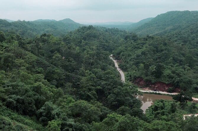Guwahati Tea Garden tour @ Amchong - Bhuaram Jodhraj factory: orthodox vs CTC with a guided walk