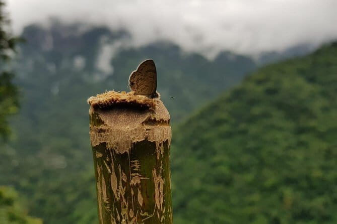 Guwahati Tea Garden tour @ Amchong - How long it takes and how to schedule your day
