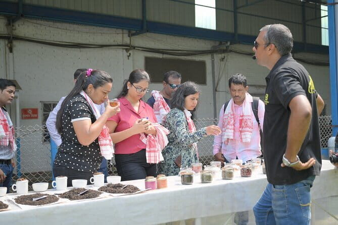 Guwahati Tea Garden tour @ Amchong - What’s special about the two-stop format