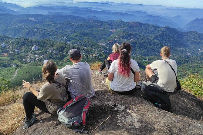 Half Day Hiking in Munnar Trekking Tour - Key takeaways before you book your Munnar trek
