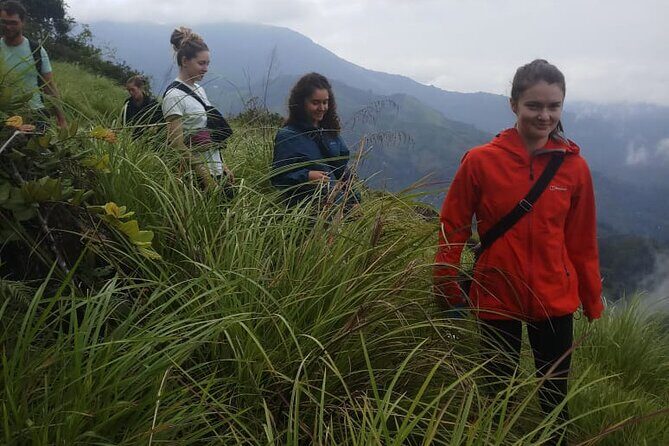 Half Day Hiking in Munnar Trekking Tour - Chasing the views: Anaimudi on clear days