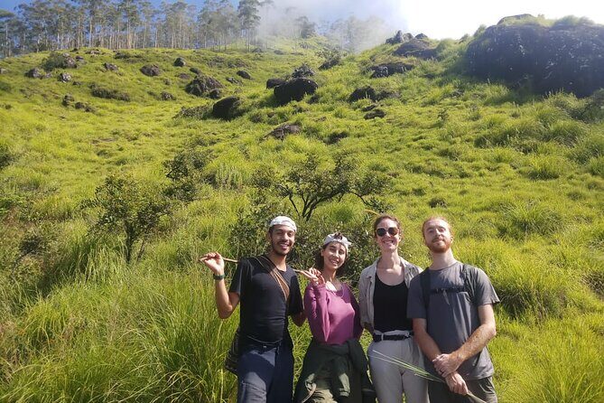 Half Day Hiking in Munnar Trekking Tour - The “half-day” itinerary that mixes tea, forest, and stories