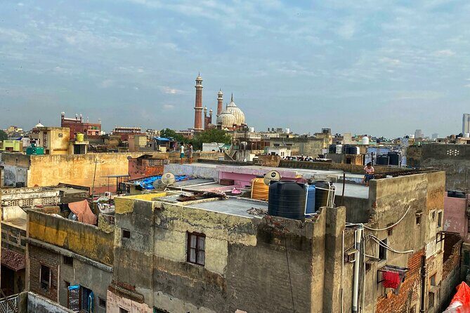 Half-Day Premium Classic Old Delhi Cycling Tour - Unity in Diversity - Morning in Shahajanabad: why this Old Delhi ride works