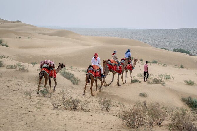 Half Day Sunset Camel Safari Jaisalmer - Key Things I’d Note Before You Go