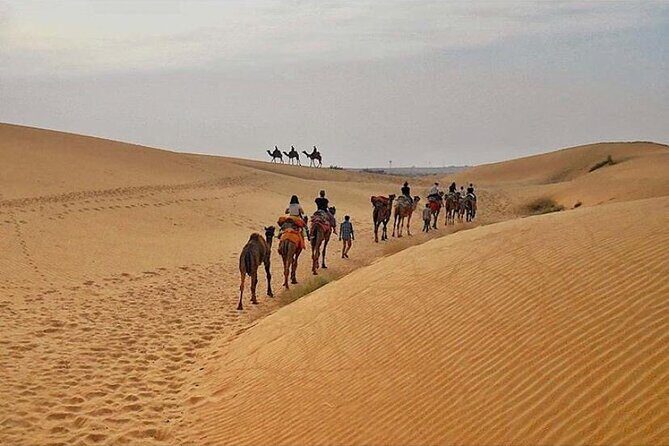 Half Day Sunset Camel Safari Jaisalmer - Timing That Actually Works: Start at 1:30 or 2:30, Back by 9:30