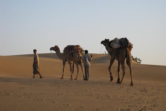 Half-Day Sunset Desert Safari - The Jeep Ride Out: Your First Hint This Is the Real Desert