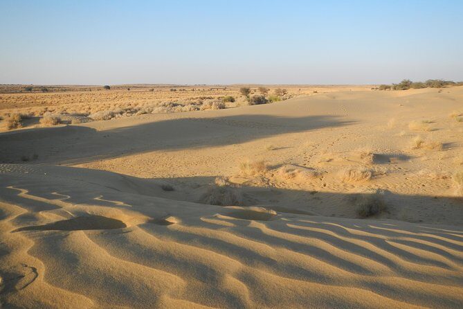 Half Day SunSet Tour with Dinner - Sunset Camel Safari in Jaisalmer: What You’re Buying Beyond a Ticket
