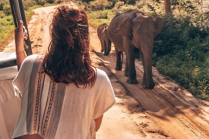 Half Day Udawalawe Safari from Kalutara (Entrance + Lunch) - Key things to know before you go