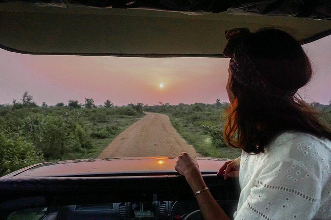 Half Day Udawalawe Safari from Kalutara (Entrance + Lunch) - Who Should Book This Udawalawe Safari (and Who Might Skip It)