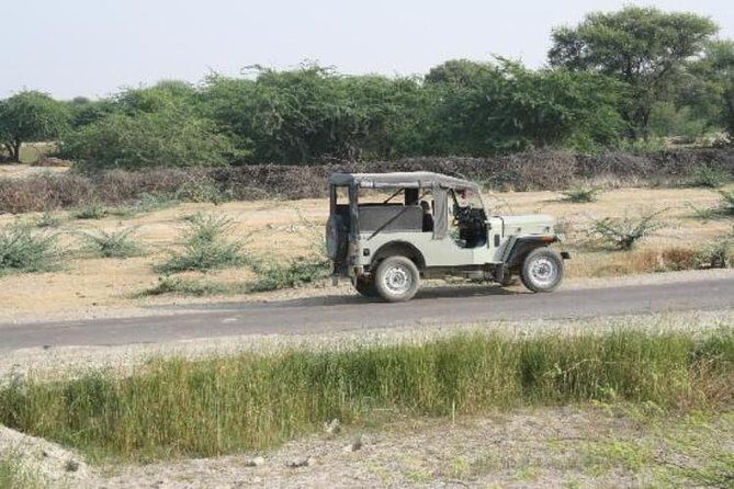 Half Day Village Safari - Why This Bishnoi Village Safari Feels More Like a Real Visit