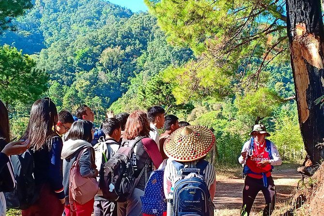 Hello, who like to make fantastic trek with the most experienced guide in Kalaw. - Quick take: what makes this trek special
