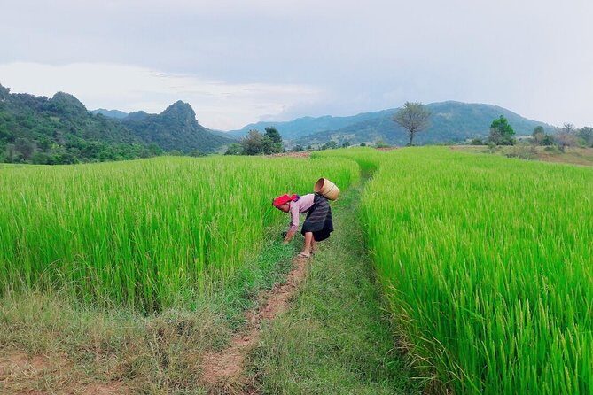 Hello, who like to make fantastic trek with the most experienced guide in Kalaw. - The “private tour” part: why your group pace matters