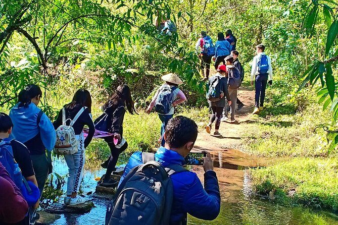 Hello, who like to make fantastic trek with the most experienced guide in Kalaw. - The route: villages, pine forest, rainforest edges, and rice work