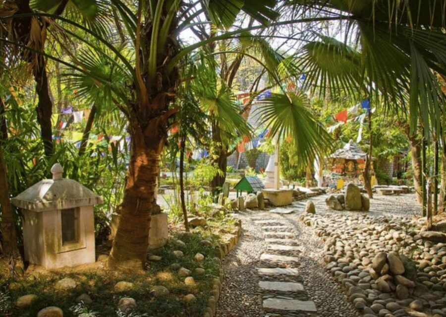 Heritage & Cultural Trails of McLeodGanj Guided Walking Tour - Tsuglagkhang Temple area: how to read the atmosphere