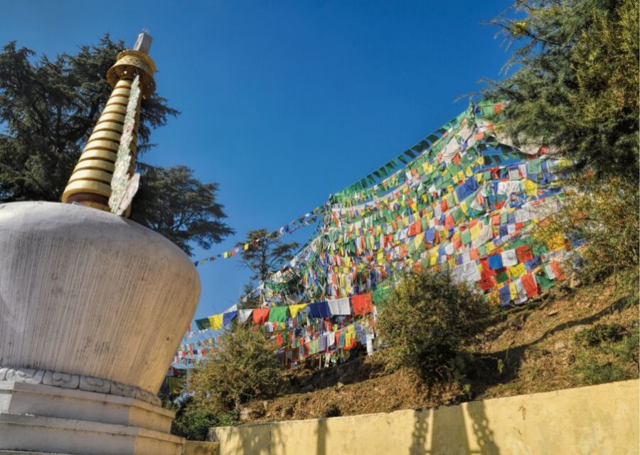 Heritage & Cultural Trails of McLeodGanj Guided Walking Tour - An artistic cafe and Handmade Paper Recycling: practical eco in a tourist town