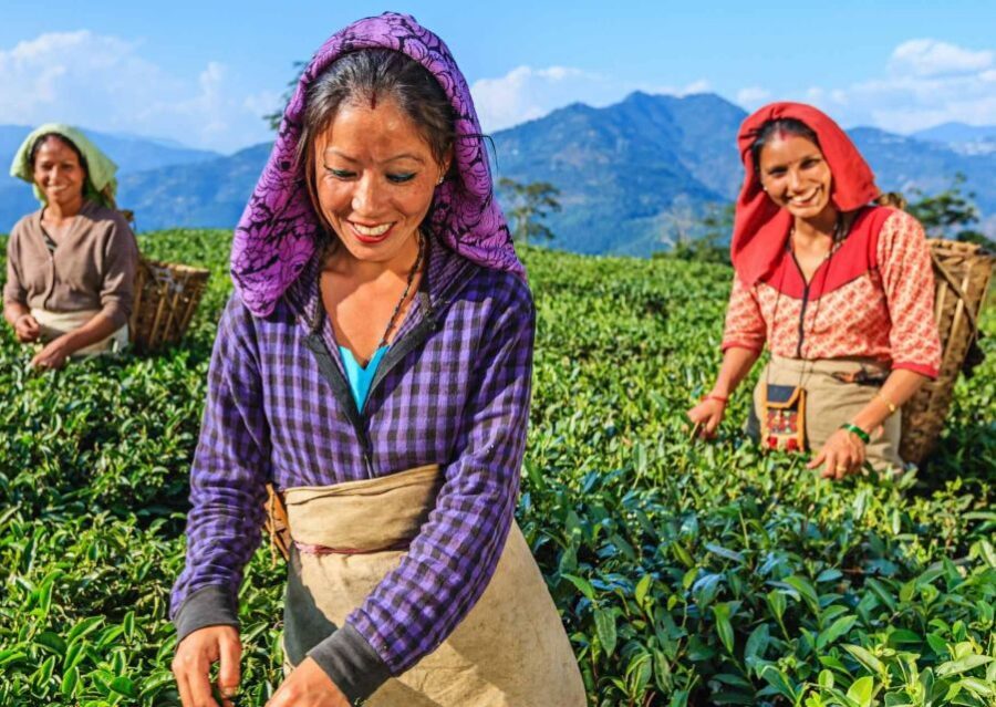 Heritage & Cultural Walk of Darjeeling (2 Hours Guided Tour) - Price and value: why $23 can work (if you want stories, not just sights)
