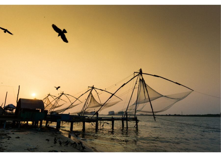 Heritage & Cultural Walk of Kochi (2 Hours Guided Tour) - Why a 2-Hour Heritage Walk Makes Sense in Fort Kochi