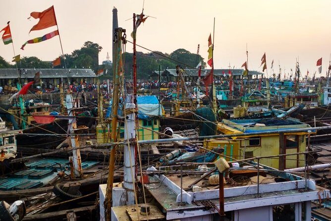 Hidden Jewels and Offbeat Tour of Mumbai - Sassoon Dock: where old docks meet wholesale reality